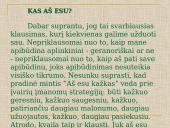 Asmenybės strategija 2 puslapis