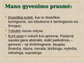 Asmenybės strategija 6 puslapis