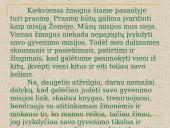 Asmenybės strategija 8 puslapis