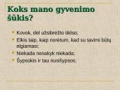 Asmenybės strategija 9 puslapis