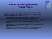 Aušros vartų basieji karmelitai 11 puslapis