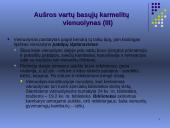 Aušros vartų basieji karmelitai 13 puslapis