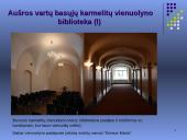 Aušros vartų basieji karmelitai 14 puslapis