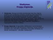 Aušros vartų basieji karmelitai 15 puslapis