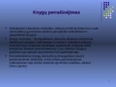 Aušros vartų basieji karmelitai 16 puslapis