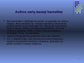 Aušros vartų basieji karmelitai 10 puslapis