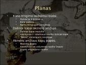 Baltų dvasinė kultūra akmens amžiuje 2 puslapis