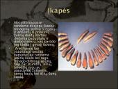 Baltų dvasinė kultūra akmens amžiuje 11 puslapis