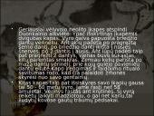 Baltų dvasinė kultūra akmens amžiuje 12 puslapis