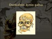 Baltų dvasinė kultūra akmens amžiuje 13 puslapis