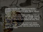 Baltų dvasinė kultūra akmens amžiuje 14 puslapis