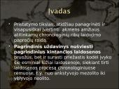 Baltų dvasinė kultūra akmens amžiuje 3 puslapis