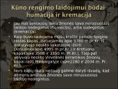 Baltų dvasinė kultūra akmens amžiuje 4 puslapis