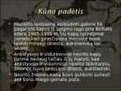 Baltų dvasinė kultūra akmens amžiuje 5 puslapis