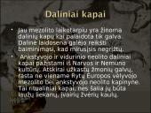 Baltų dvasinė kultūra akmens amžiuje 8 puslapis