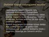 Baltų dvasinė kultūra akmens amžiuje 10 puslapis