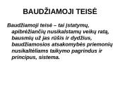 Baudžiamoji teisė bei nusikaltimas 2 puslapis