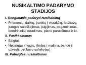 Baudžiamoji teisė bei nusikaltimas 11 puslapis