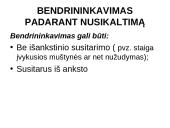 Baudžiamoji teisė bei nusikaltimas 12 puslapis