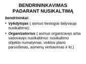 Baudžiamoji teisė bei nusikaltimas 13 puslapis