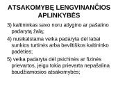 Baudžiamoji teisė bei nusikaltimas 19 puslapis