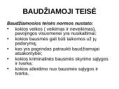 Baudžiamoji teisė bei nusikaltimas 3 puslapis