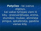 Bendraamžių patyčios 2 puslapis
