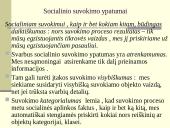 Bendravimas ir tarpusavio pažinimas 13 puslapis