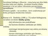 Bendravimas ir tarpusavio pažinimas 14 puslapis