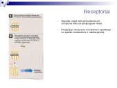 Bendroji farmakologija 7 puslapis