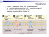 Bendroji farmakologija 9 puslapis
