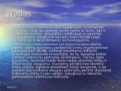 Bevielio Interneto saugumas 3 puslapis