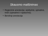 Cezario pjūvis 13 puslapis