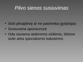 Cezario pjūvis 19 puslapis