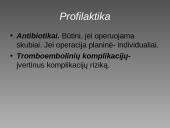 Cezario pjūvis 20 puslapis