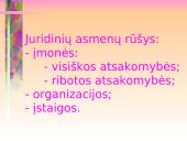 Civilinė teisė ir jos šaltiniai 17 puslapis