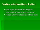 Chlamidijos 13 puslapis