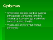 Chlamidijos 18 puslapis