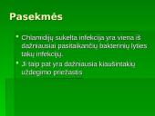 Chlamidijos 19 puslapis