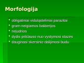 Chlamidijos 4 puslapis