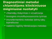 Chlamidijos 6 puslapis