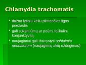 Chlamidijos 7 puslapis