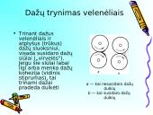 Dažų užtvirtinimas ant popieriaus 6 puslapis