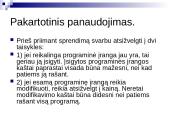 Dinaminis proceso modelis 13 puslapis