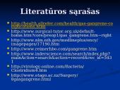 Dujinė gangrena 20 puslapis