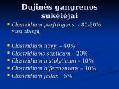 Dujinė gangrena 6 puslapis