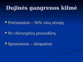 Dujinė gangrena 10 puslapis