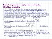 Dujų dėsniai 14 puslapis