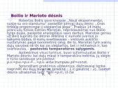 Dujų dėsniai 3 puslapis