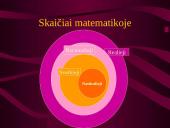 Duomenys Paskalio programavimo kalboje 2 puslapis